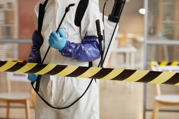 Professional Odor Removal technician working in Mendon, IL