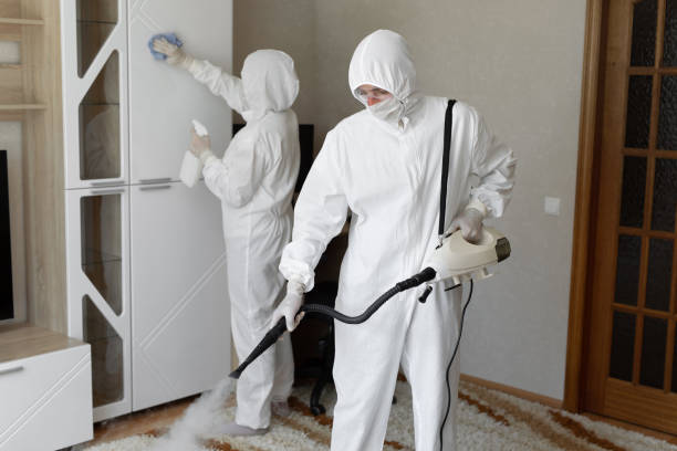 24/7 Emergency Odor Removal experts in Mendon, IL